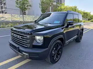 Haval Meng Long NEV 2024