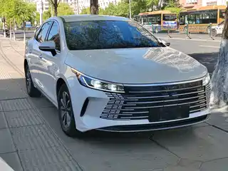 BYD Destroyer 05 2024