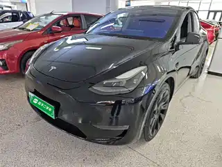 Tesla Model Y 2021