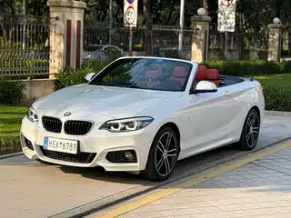 BMW 2 Series (Import) 2017