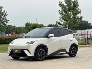 BYD Seagull 2024