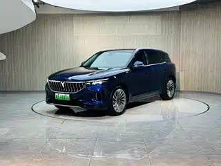 Voyah Auto FREE 2021