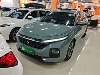 Baojun Valli 2021