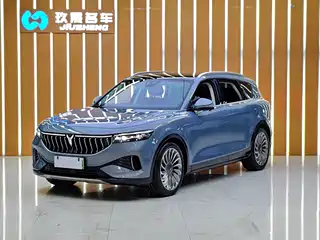 Voyah Auto FREE 2021