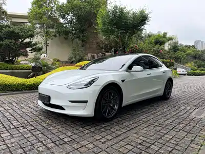 Tesla Model 3 (Import) 2019