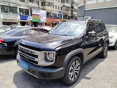 Haval Big Dog 2024