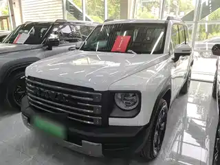 Haval Meng Long NEV 2023