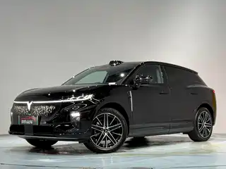 Voyah Auto Zhiyin 2025