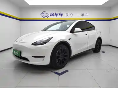 Tesla Model Y 2021