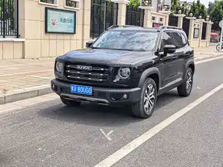 Haval Big Dog 2021
