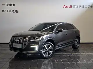 Audi Audi Q2L e-tron 2019