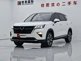 Wuling Motors Wuling Xingchen 2021