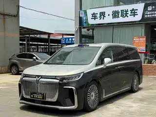 Voyah Auto Dreamer 2024