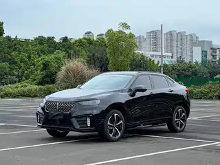 WEY Wei VV7 GT 2019