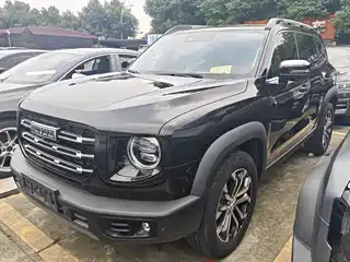 Haval Big Dog 2020