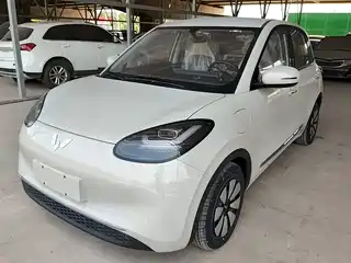 Wuling Motors Bingo 2024