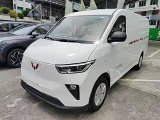 Wuling Motors Wuling Yangguang 2024