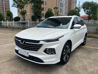 Wuling Motors Wuling Victory 2020