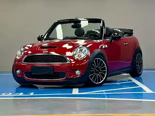 MINI MINI 2010