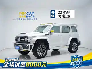Crossboundary Auto Co-created Tank 300 2021