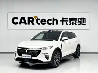 Voyah Auto Voyah Zhiyin 2025