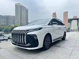 Dongfeng Fengxing Starlight V9 2024