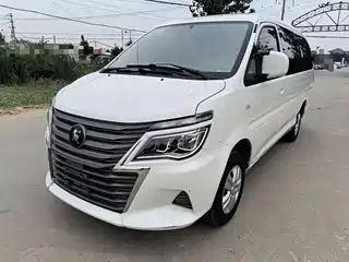 Dongfeng Fengxing Lingzhi 2021