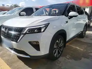 Wuling Motors Wuling Xingchen 2022
