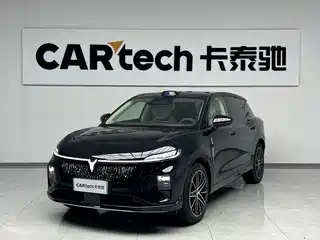 Voyah Auto Voyah Zhiyin 2025