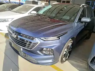Wuling Motors Wuling Victory 2020