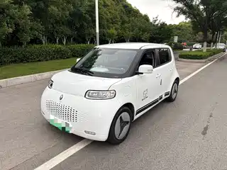 Ora White Cat 2022