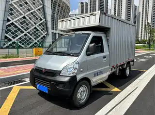 Wuling Motors Rongguang Mini Truck 2021