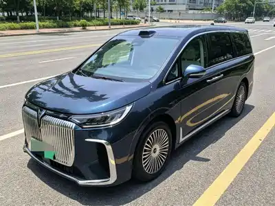 Voyah Auto Dreamer 2024