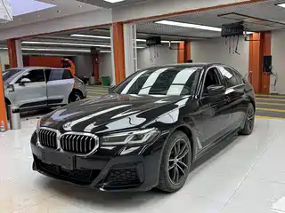 BMW 5 Series New Energy 2020