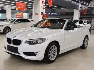 BMW 2 Series (Import) 2015