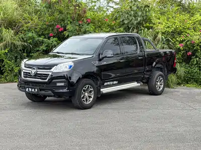 Foton Tunland Shengtu 2021