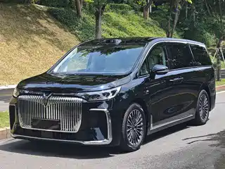 Voyah Auto Voyah Dreamer 2025