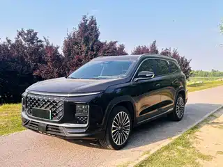 Jetour Shanhai Jetour Shanhai L9 2023