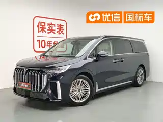 Voyah Auto Dreamer 2023