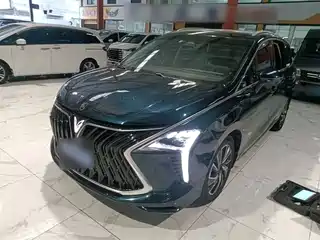 Dongfeng Fengxing Fengxing Yacht 2022