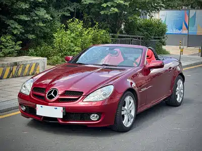 Mercedes-Benz SLK-Class 2010
