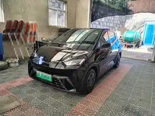 BYD Seagull 2024