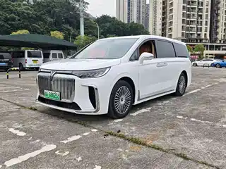 Voyah Auto Dreamer 2025