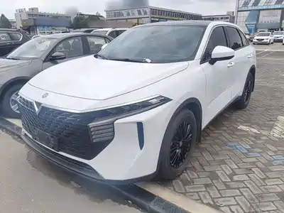 Venucia Big V 2021