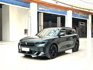 Voyah Auto FREE 2024