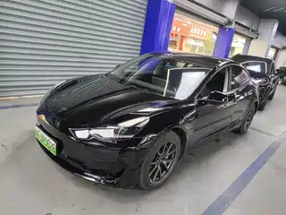 Tesla Model 3 2020