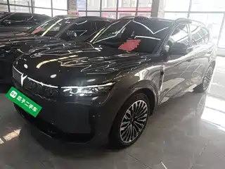 Voyah Auto FREE 2025