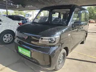 Wuling Motors Zhiguang NEV 2025