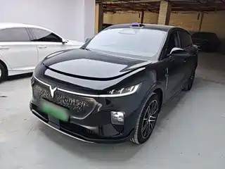 Voyah Auto Voyah Zhiyin 2025