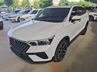Besturn T77 2020